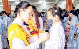 Bông hồng mùa hiếu hạnh