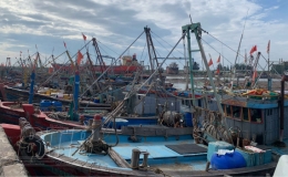 Tích cực, chủ động ứng phó với bão số 2