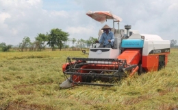 Cơ giới hóa đồng bộ theo chuỗi liên kết sản xuất nông nghiệp