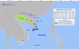 Công điện khẩn số 07/CĐ-PCTT của Ban Chỉ huy Phòng, chống thiên tai và Tìm kiếm cứu nạn tỉnh Thái Bình
