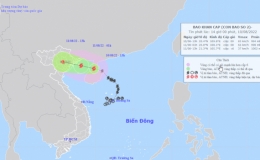Công điện khẩn số 08/CĐ-PCTT của Trưởng ban Chỉ huy Phòng, chống thiên tai và Tìm kiếm cứu nạn tỉnh Thái Bình