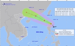 Công điện khẩn số 10/CĐ-PCTT của Ban Chỉ huy PCTT và TKCN tỉnh Thái Bình