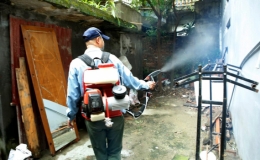 Đã có 45 ca tử vong do sốt xuất huyết tại 15 tỉnh, thành phố