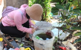 Điều tra, giám sát bọ gậy, muỗi truyền bệnh sốt xuất huyết tại xã Nam Thắng