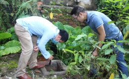 Điều tra, giám sát chỉ số côn trùng tại khu vực có ca mắc sốt xuất huyết nội sinh