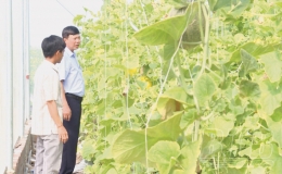 Động lực mới cho “tam nông”