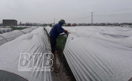 Khôi phục sản xuất sau mưa lớn