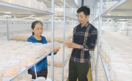 Kỳ 2: Khơi thông điểm nghẽn tiêu thụ nông sản