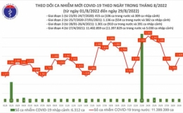 Ngày 29/8: Thêm 2.409 ca mắc COVID-19