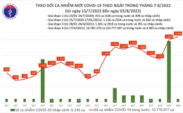 Ngày 3/8: Số người mắc COVID-19 mới tiếp tục tăng cao vượt ngưỡng 2.000 ca, 80 bệnh nhân đang phải thở oxy