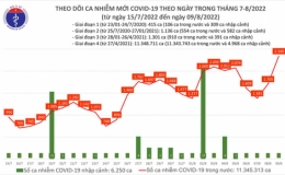 Ngày 9/8, số người mắc COVID-19 mới lại tăng vọt lên 2.340 ca