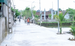Ông cố vấn: Những ngày chống Pháp ở quê