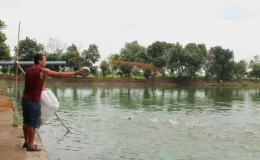 Quản lý thủy sản mùa mưa bão