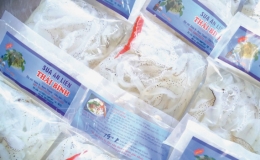 Sứa ăn liền Thái Bình - đặc sản một vùng quê