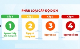 Th&ocirc;ng b&aacute;o cấp độ dịch tỉnh Th&aacute;i B&igrave;nh (ng&agrave;y12/8/2022)