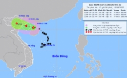 Tin bão khẩn cấp (Cơn bão số 2)