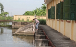 Triệt để tiêu nước đệm phòng, chống ngập úng cho lúa, rau màu