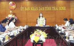 UBND tỉnh họp nghe Sở Giáo dục và Đào tạo báo cáo cơ chế chính sách hỗ trợ đối với cán bộ, giáo viên, học sinh Trường THPT Chuyên Thái Bình