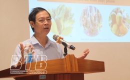 130 hội viên nông dân tham gia tập huấn công tác bảo vệ thực vật