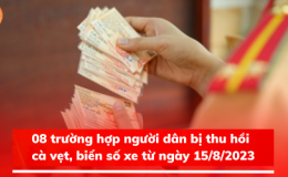 8 trường hợp sẽ bị thu hồi chứng nhận đăng ký, biển số xe từ ngày 15/8