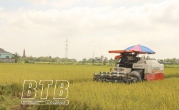 Bài 2: Nâng cao hiệu quả các mô hình liên kết sản xuất, đẩy mạnh tích tụ ruộng đất