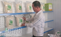 Kiến Xương: Hướng tới phát triển các sản phẩm chủ lực