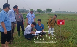 Kiến Xương: Thực hiện cưỡng chế thu hồi đất đầu tư xây dựng hạ tầng kỹ thuật CCN Bình Minh và CCN Trung Nê
