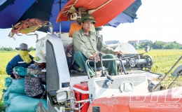 Ông Cảnh tích tụ ruộng đất làm giàu