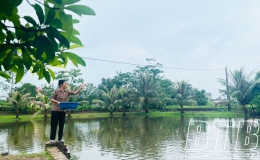 Sức sống mới trên quê hương cách mạng