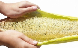 Tiến sĩ chế tạo xốp xơ mướp hút dầu và vi nhựa