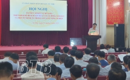 Vũ Thư: Phấn đấu gieo trồng 5.300 ha cây màu vụ đông