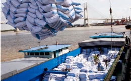 Xuất khẩu gạo Việt Nam qua những con số