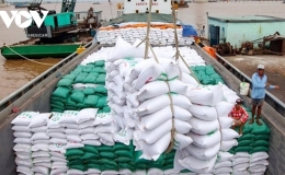 Xuất khẩu gạo tăng hơn 25%