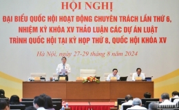 Cân nhắc kỹ việc áp thuế suất VAT 5% với phân bón