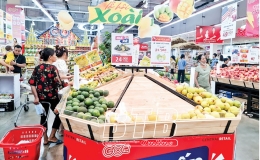 Chính sách thuế hỗ trợ doanh nghiệp phát triển