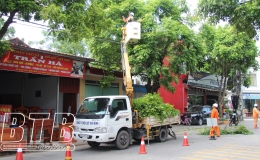 Điện lực Thái Thụy: Tổ chức 3 đợt phát quang hành lang lưới điện