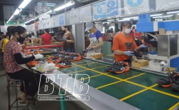 Doanh nghiệp Quỳnh Phụ: Tăng tốc những tháng cuối năm