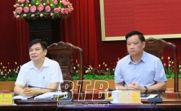Hội nghị trực tuyến triển khai nhiệm vụ năm học 2024 - 2025