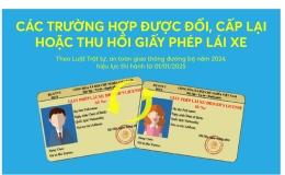 Các trường hợp được đổi, cấp lại hoặc thu hồi giấy phép lái xe từ 1/1/2025
