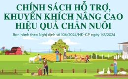 Chính sách hỗ trợ, khuyến khích nâng cao hiệu quả chăn nuôi