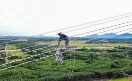 Nắng như đổ lửa, công nhân treo mình giữa lưng trời kéo dây điện 500kV