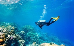 Nha Trang nằm trong 5 điểm đến lặn biển hàng đầu châu Á