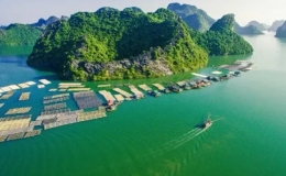 Nhu cầu du lịch dịp lễ Quốc khánh tăng mạnh