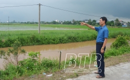 Quỳnh Phụ: Người dân đồng thuận với dự án khu công nghiệp dược - sinh học