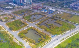Rà soát công tác tổ chức đấu giá quyền sử dụng đất tại các địa phương