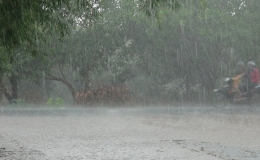 Tin dự báo mưa dông diện rộng tại Thái Bình 