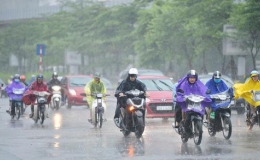 Tin dự báo mưa dông tại Thái Bình