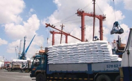 Nhập khẩu phân bón tăng mạnh