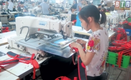 30 dự án được cấp, điều chỉnh giấy chứng nhận đăng ký đầu tư trong các khu công nghiệp