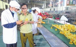 Đội Quản lý thị trường Vũ Thư thực hiện hiệu quả nhiều chuyên đề